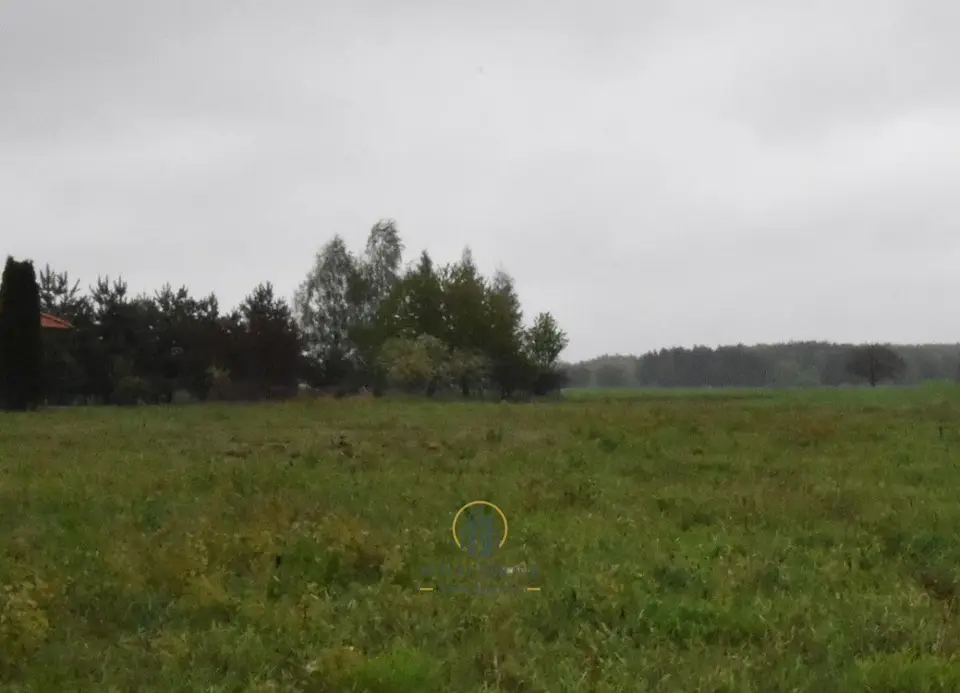 Zdjęcie 3