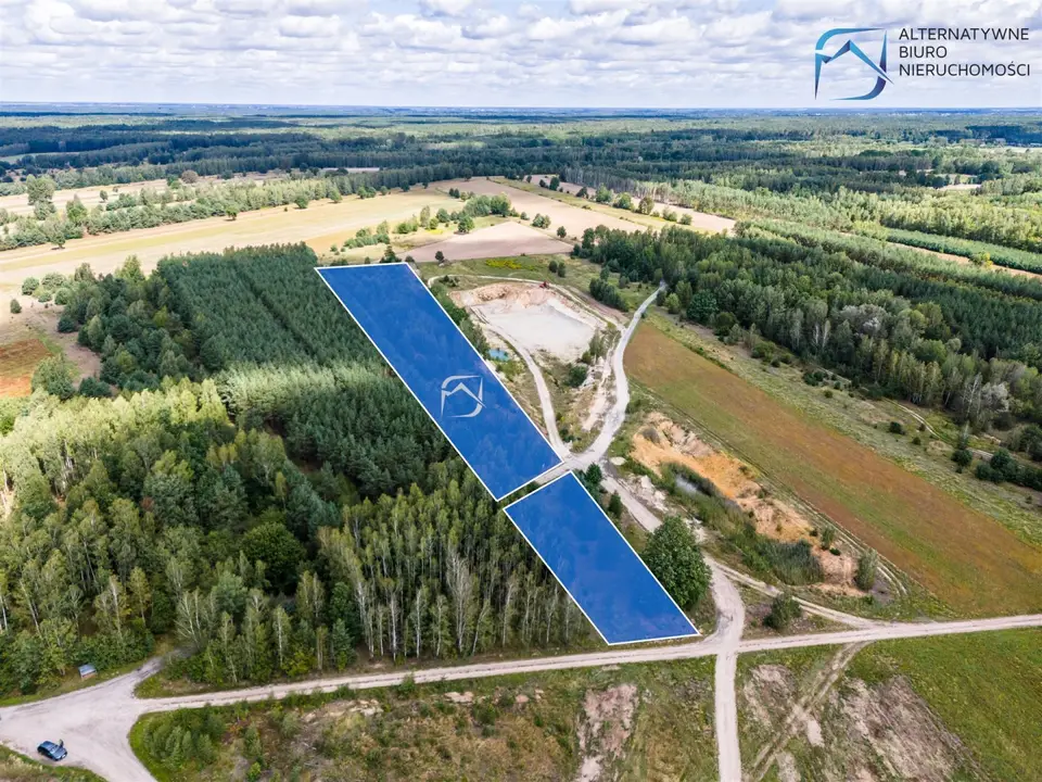 Zdjęcie 11