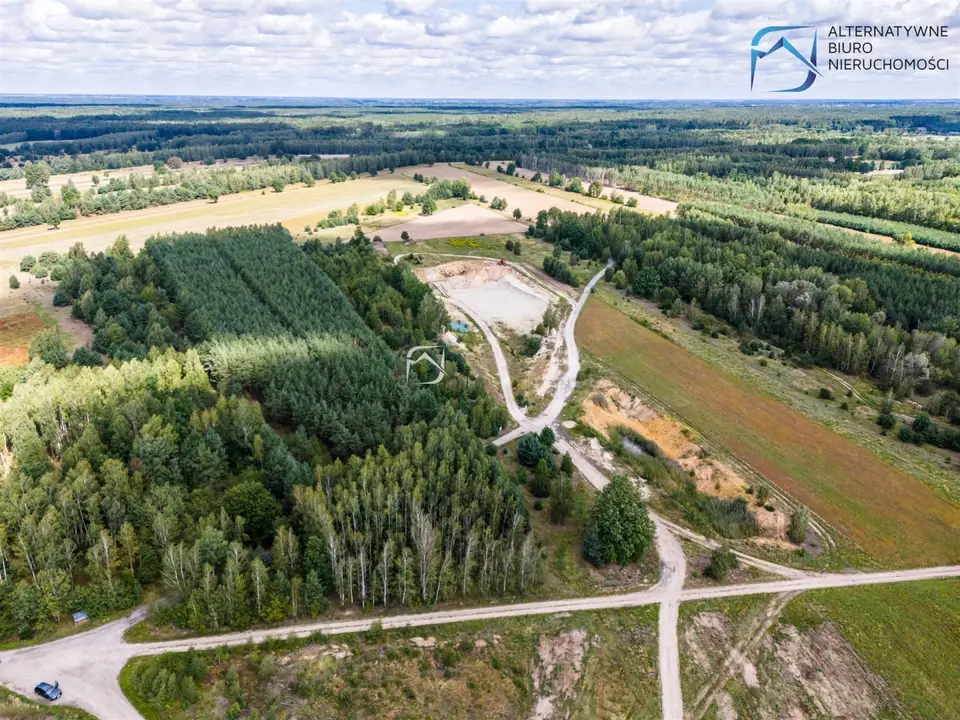 Zdjęcie 12