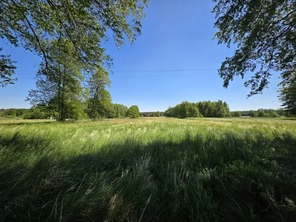 Zdjęcie 13