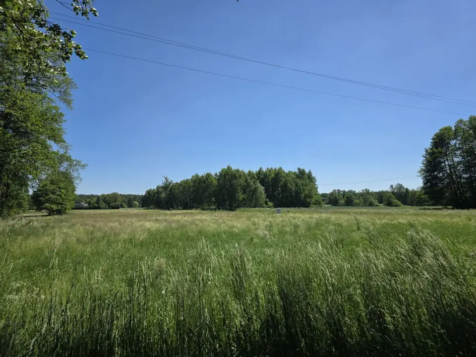 Zdjęcie 15