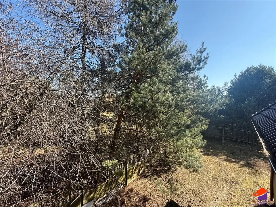 Zdjęcie 10
