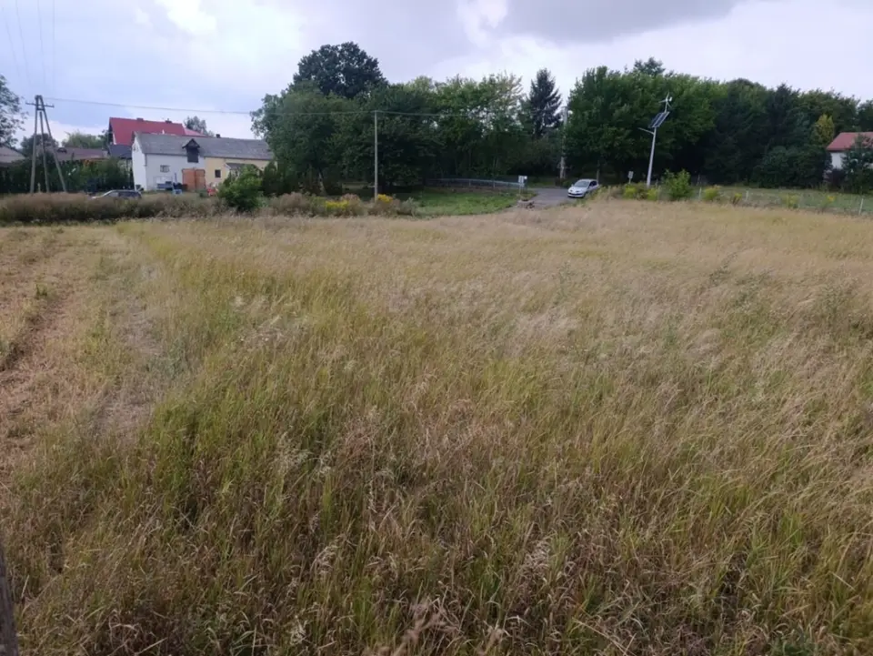 Zdjęcie 2