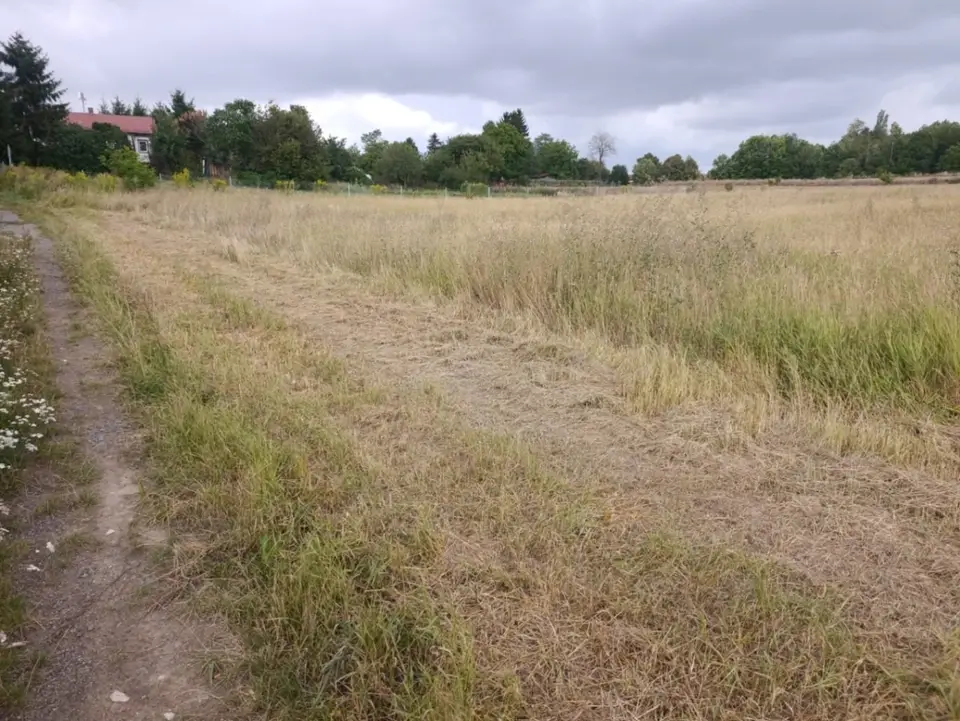 Zdjęcie 9