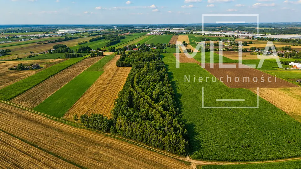 Działka siedliskowa 4,1 ha, Zelgoszcz