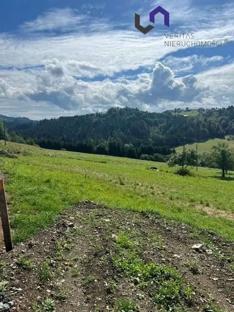 Zdjęcie 5