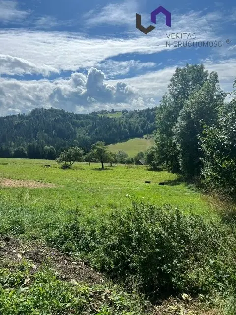 Zdjęcie 6