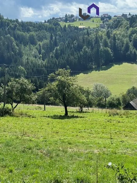 Zdjęcie 7
