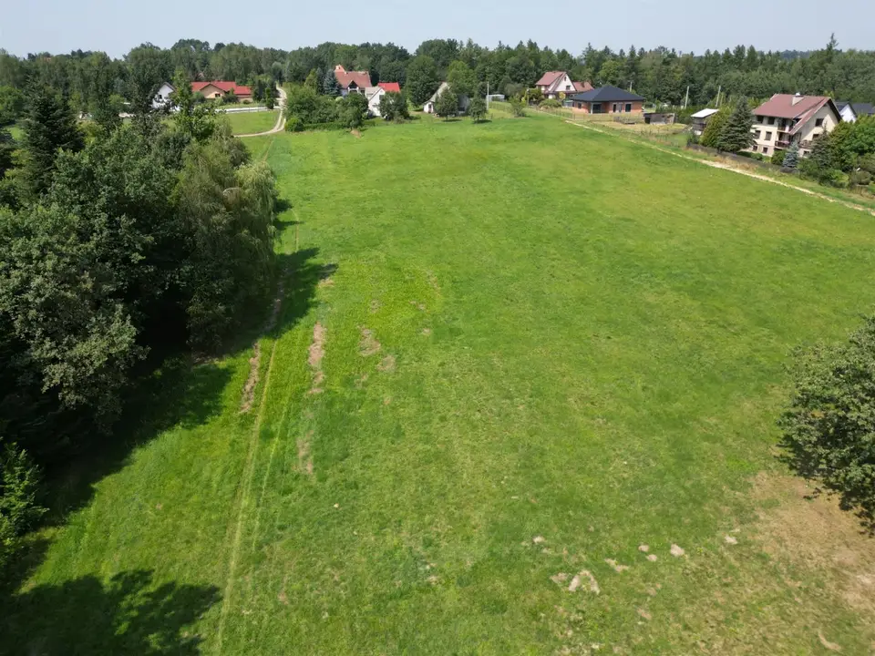 Zdjęcie 6