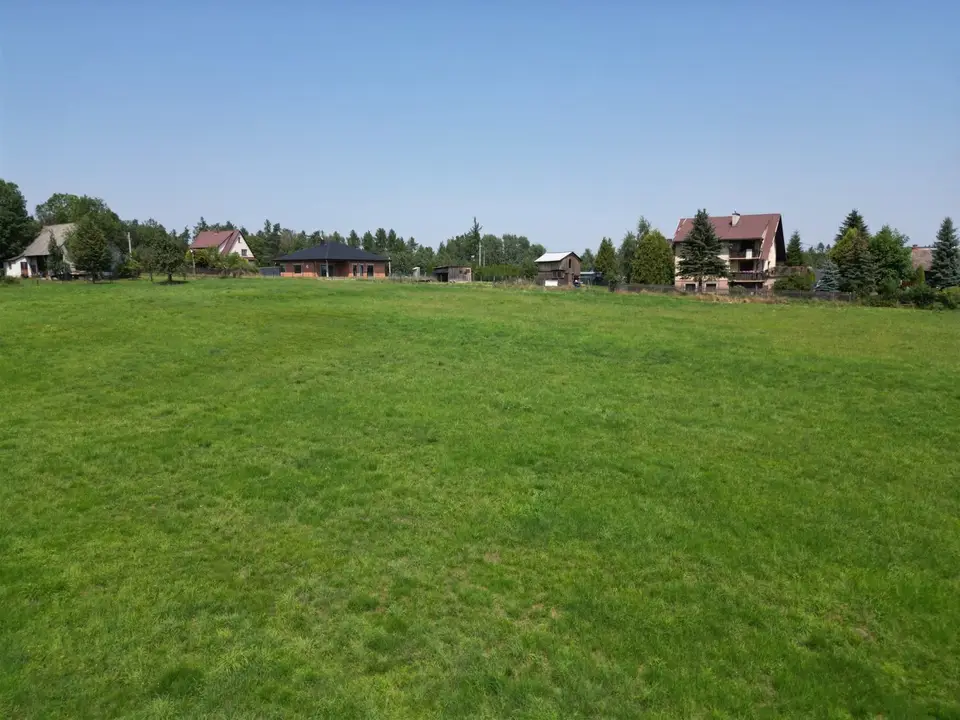 Zdjęcie 8
