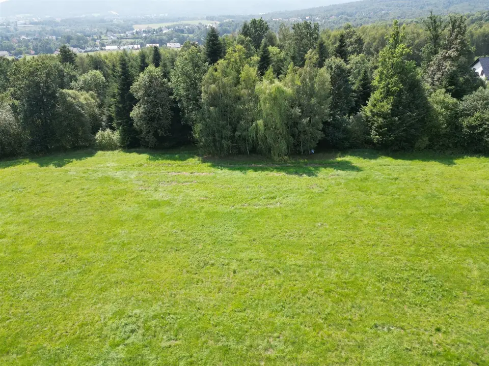 Zdjęcie 12