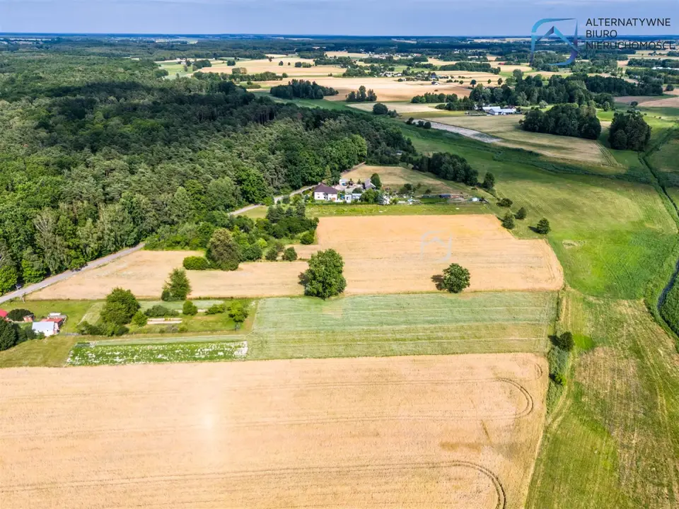 Zdjęcie 6