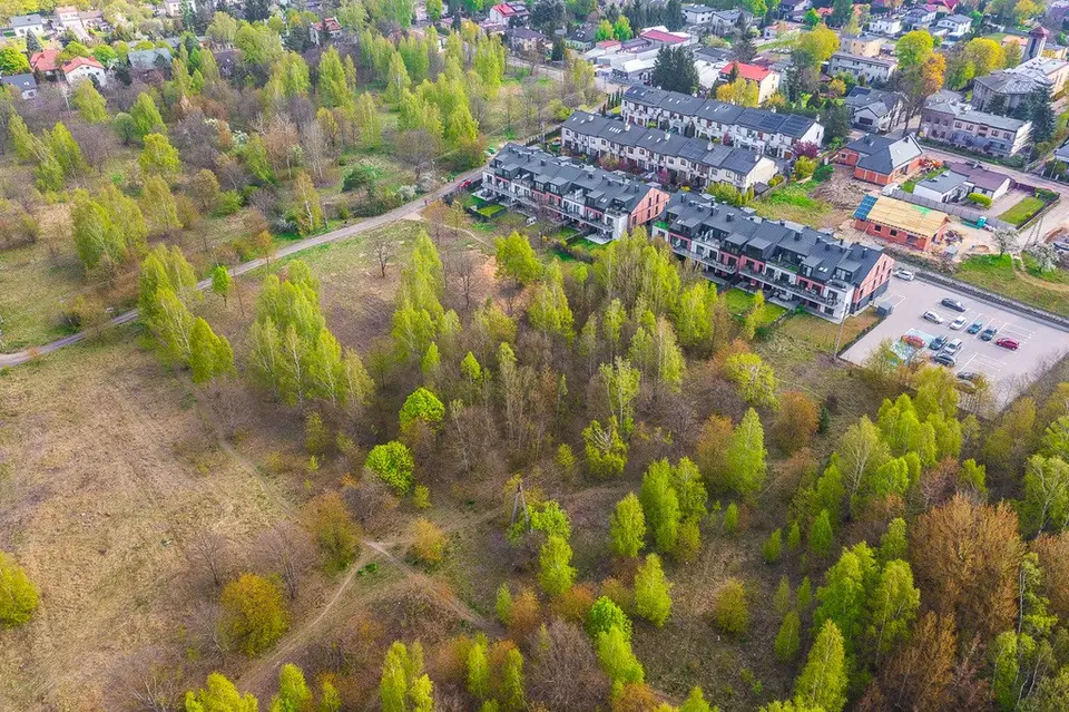 Zdjęcie 6