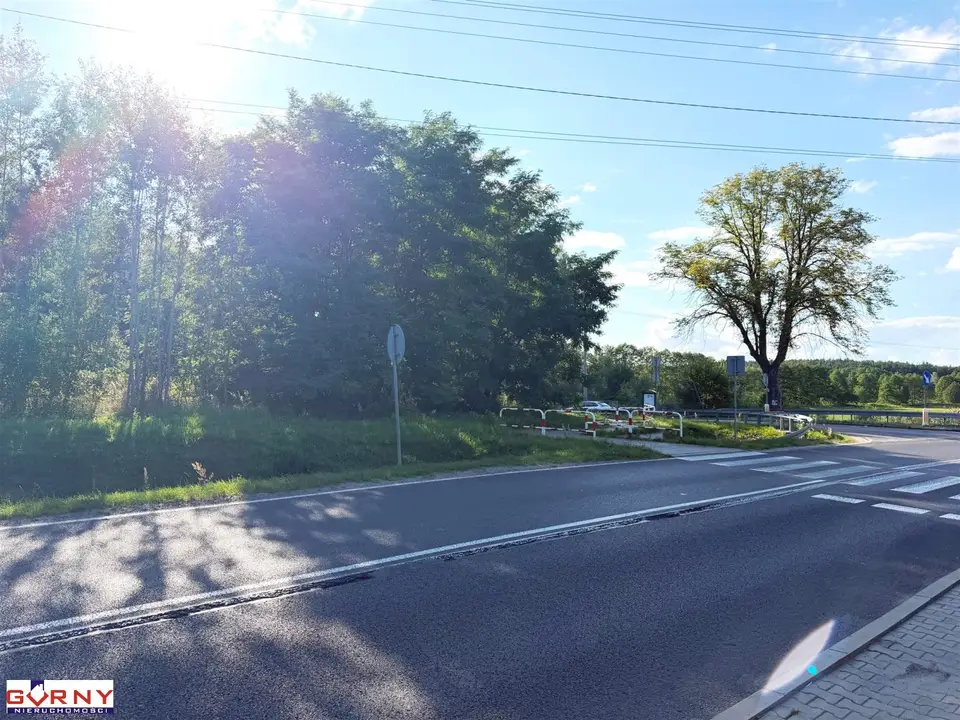 Zdjęcie 8