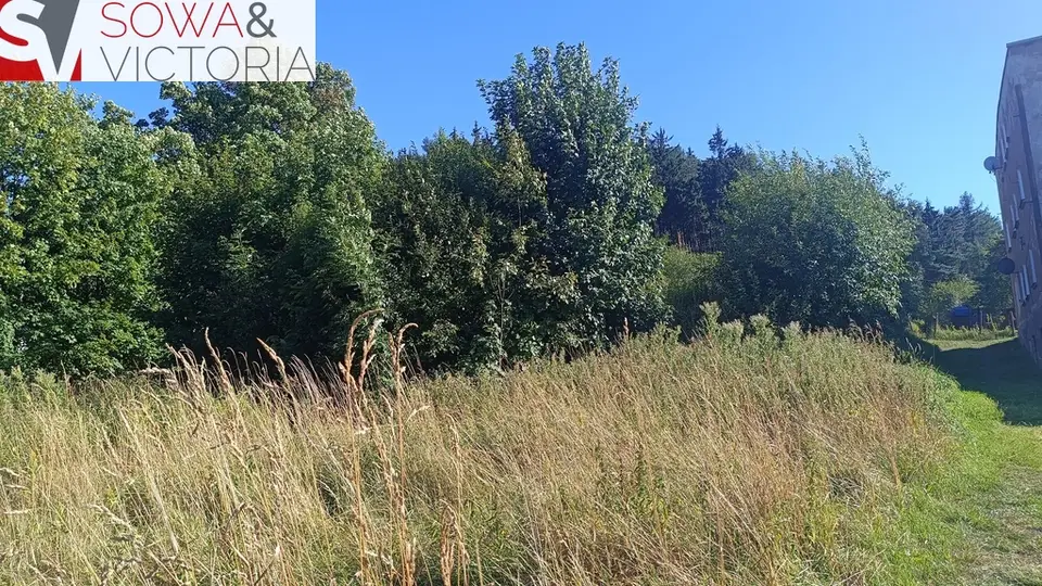 Zdjęcie 4