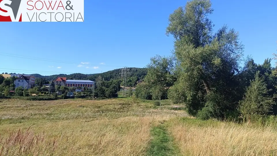 Zdjęcie 5