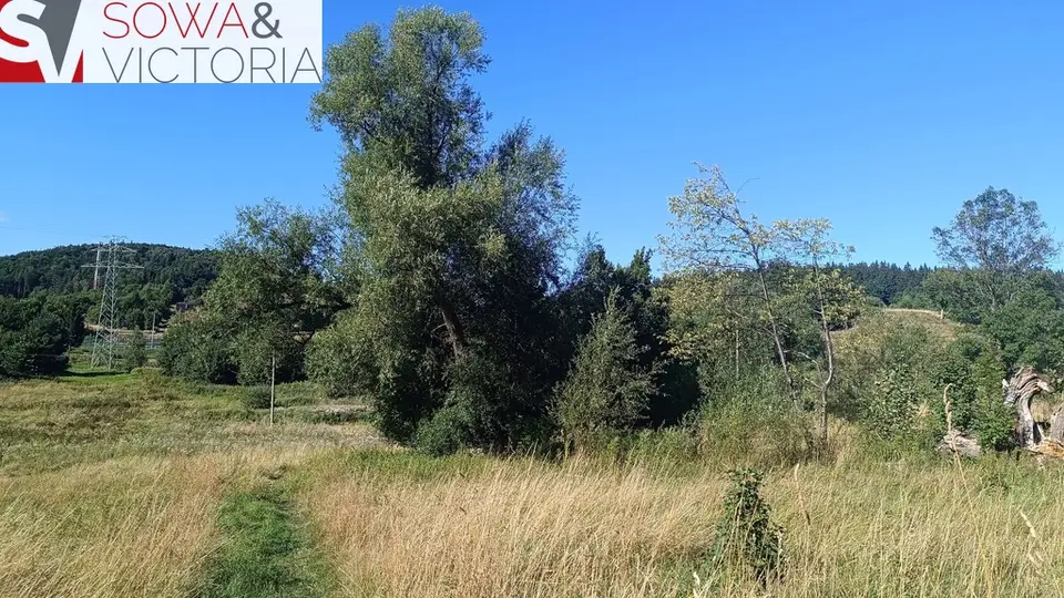Zdjęcie 8