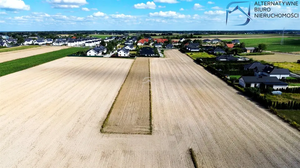 Zdjęcie 13