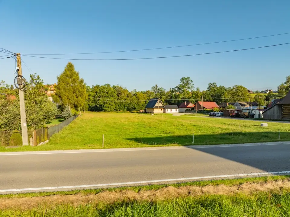 Zdjęcie 12