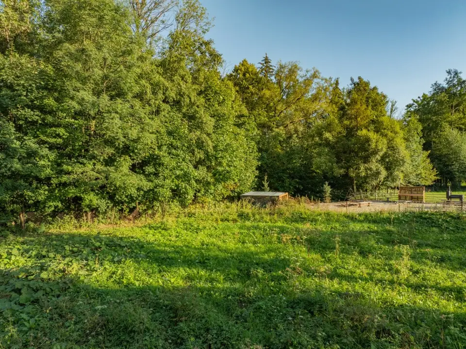 Zdjęcie 18