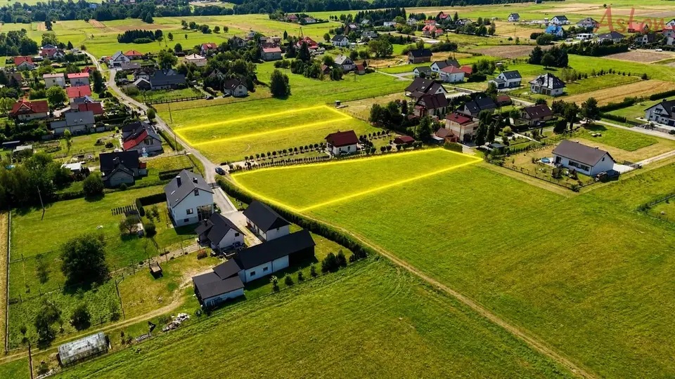 Zdjęcie 3