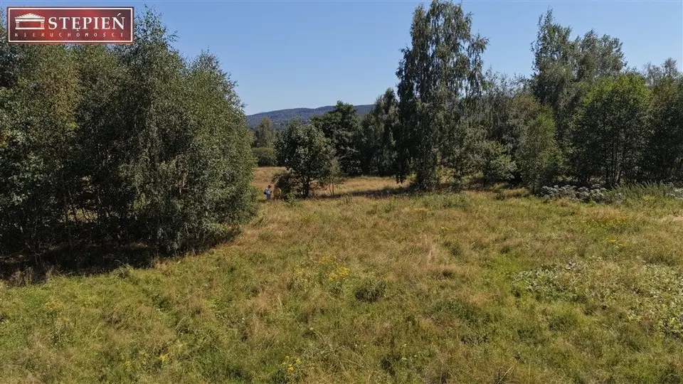 Zdjęcie 8