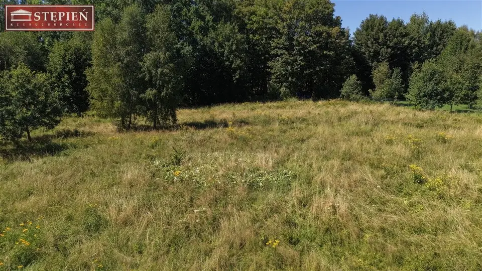 Zdjęcie 11