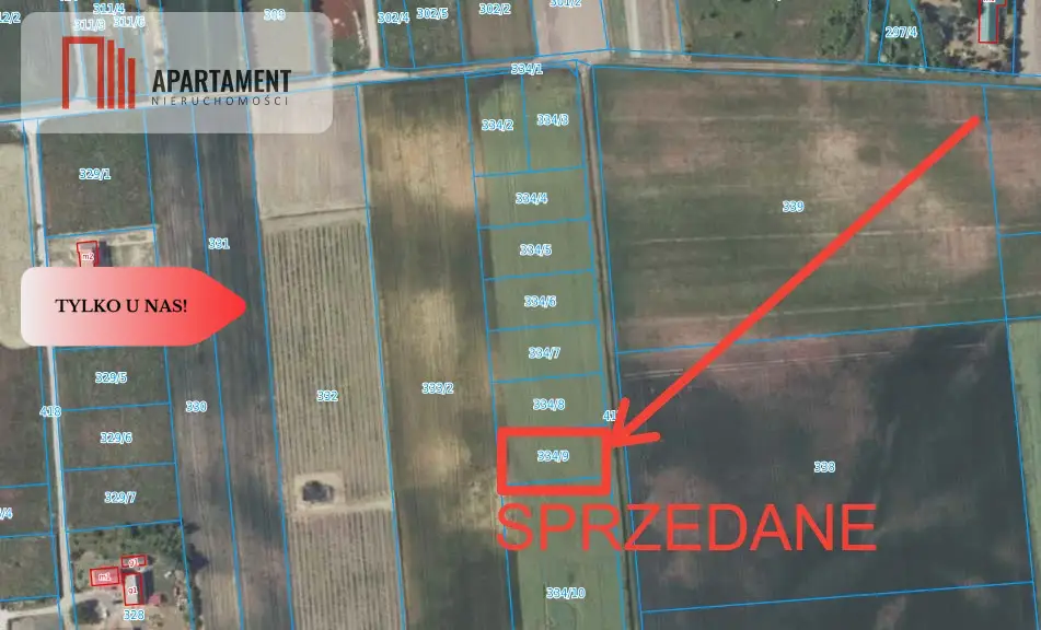 Zdjęcie 3