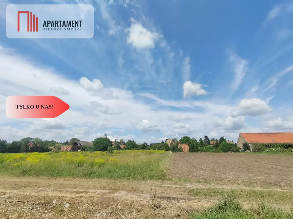 Zdjęcie 8