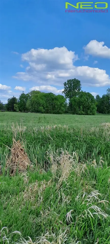 Działka rolna 2 256 m², Opatów