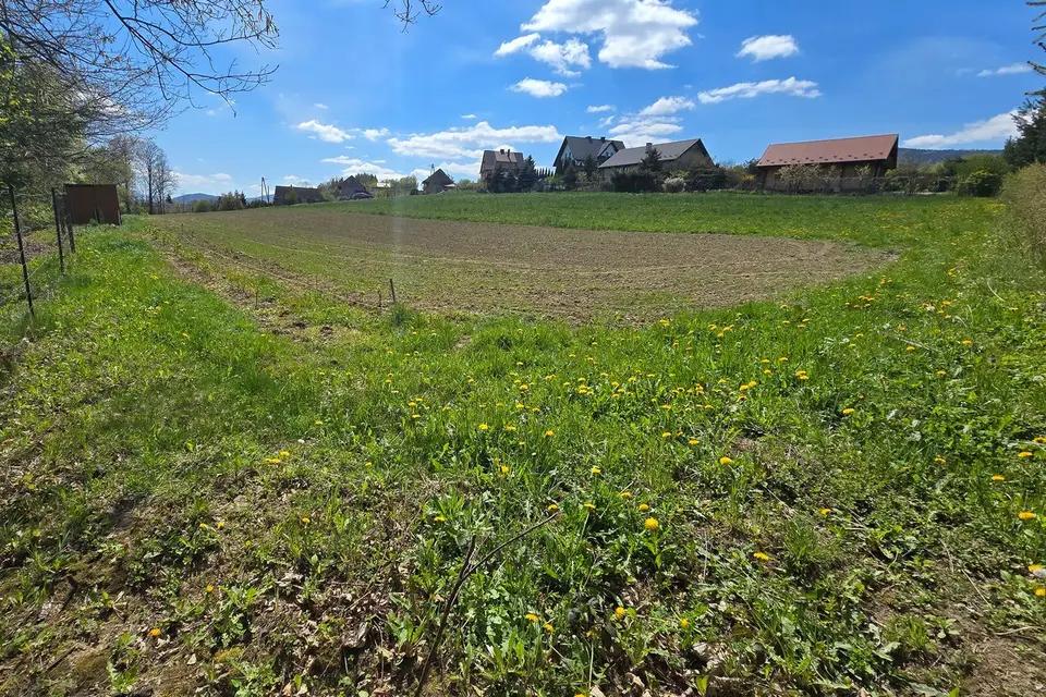 Zdjęcie 13