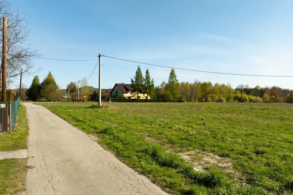 Zdjęcie 15