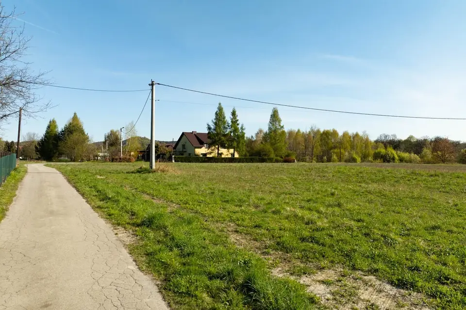 Zdjęcie 16