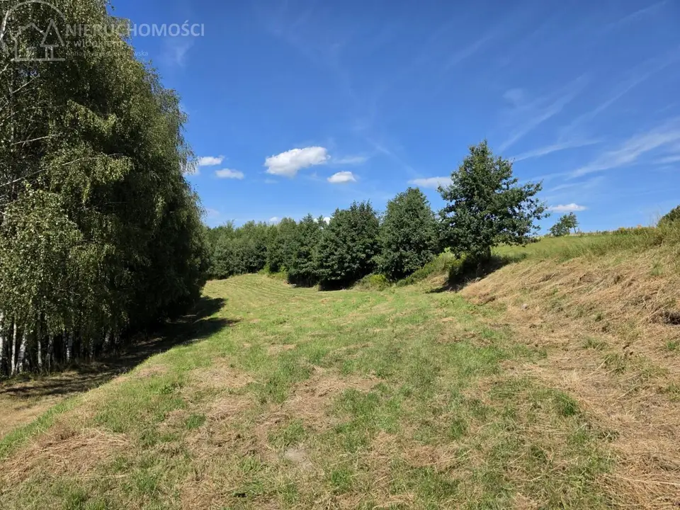 Zdjęcie 6