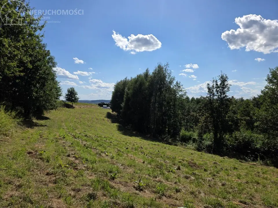 Zdjęcie 8