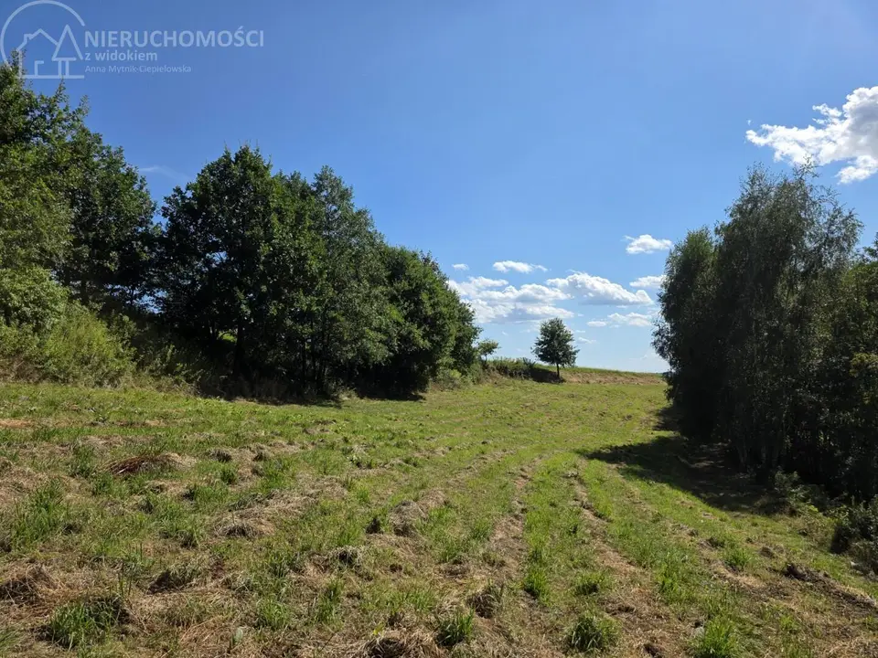 Zdjęcie 10