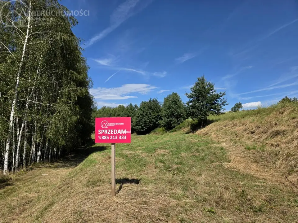 Zdjęcie 11