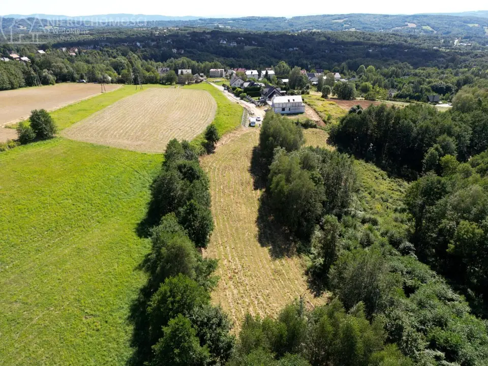 Zdjęcie 12