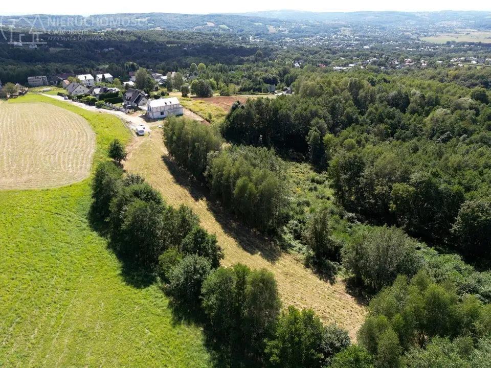Zdjęcie 13