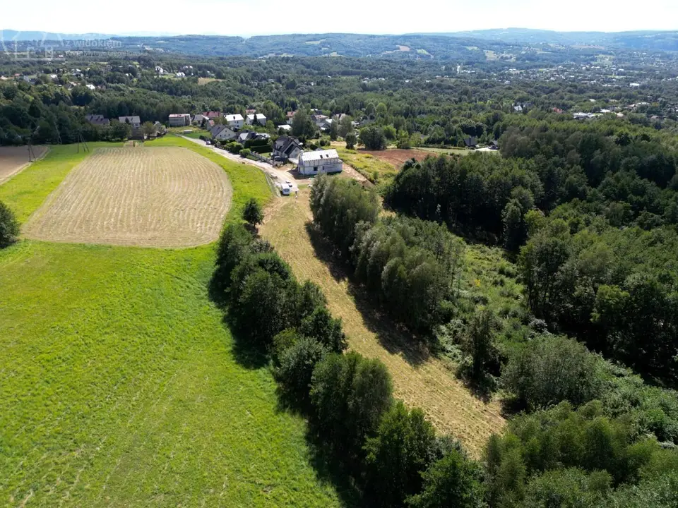 Zdjęcie 14