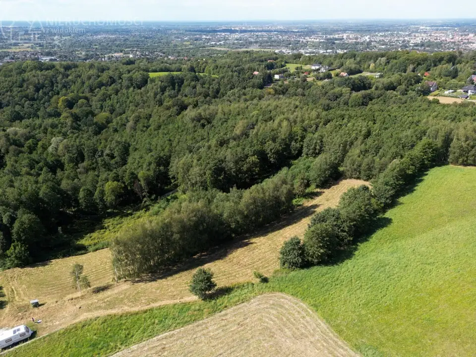 Zdjęcie 15
