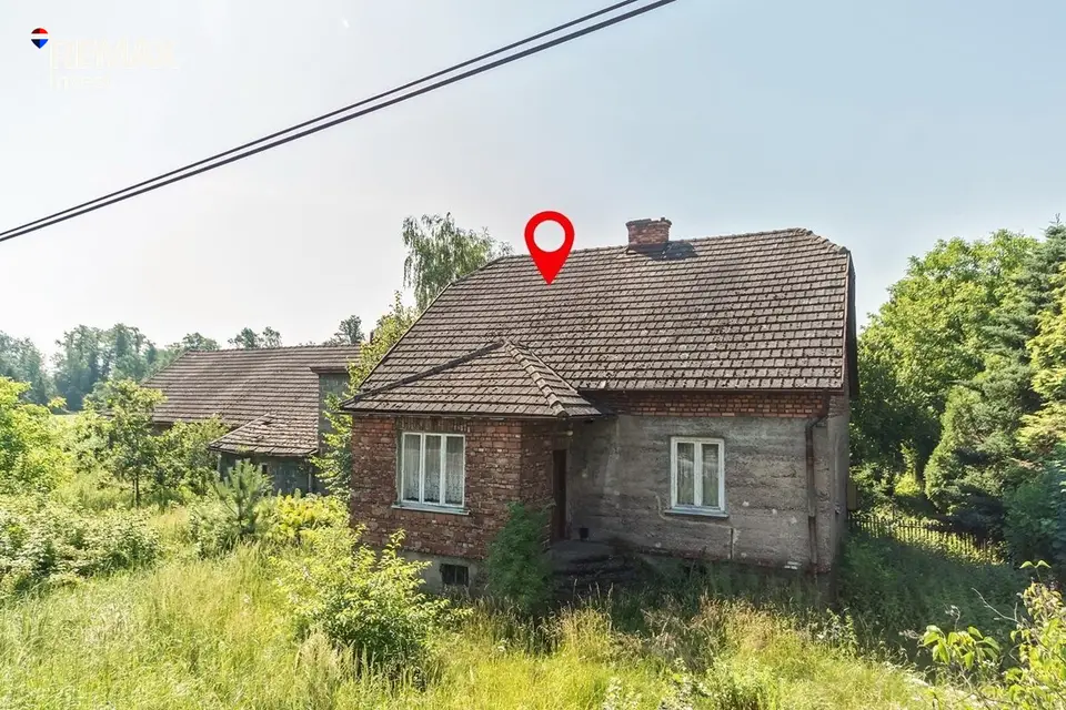 Zdjęcie 10