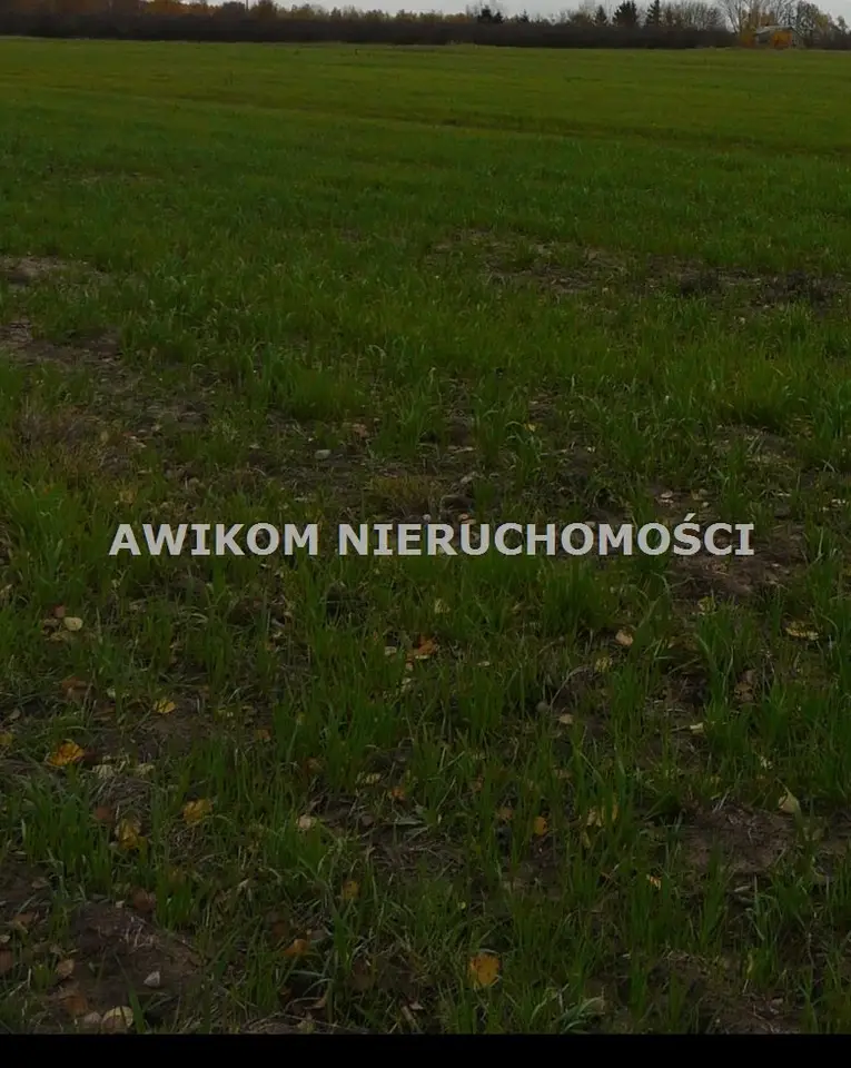 Zdjęcie 2