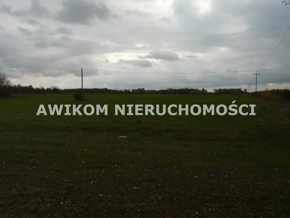 Zdjęcie 3