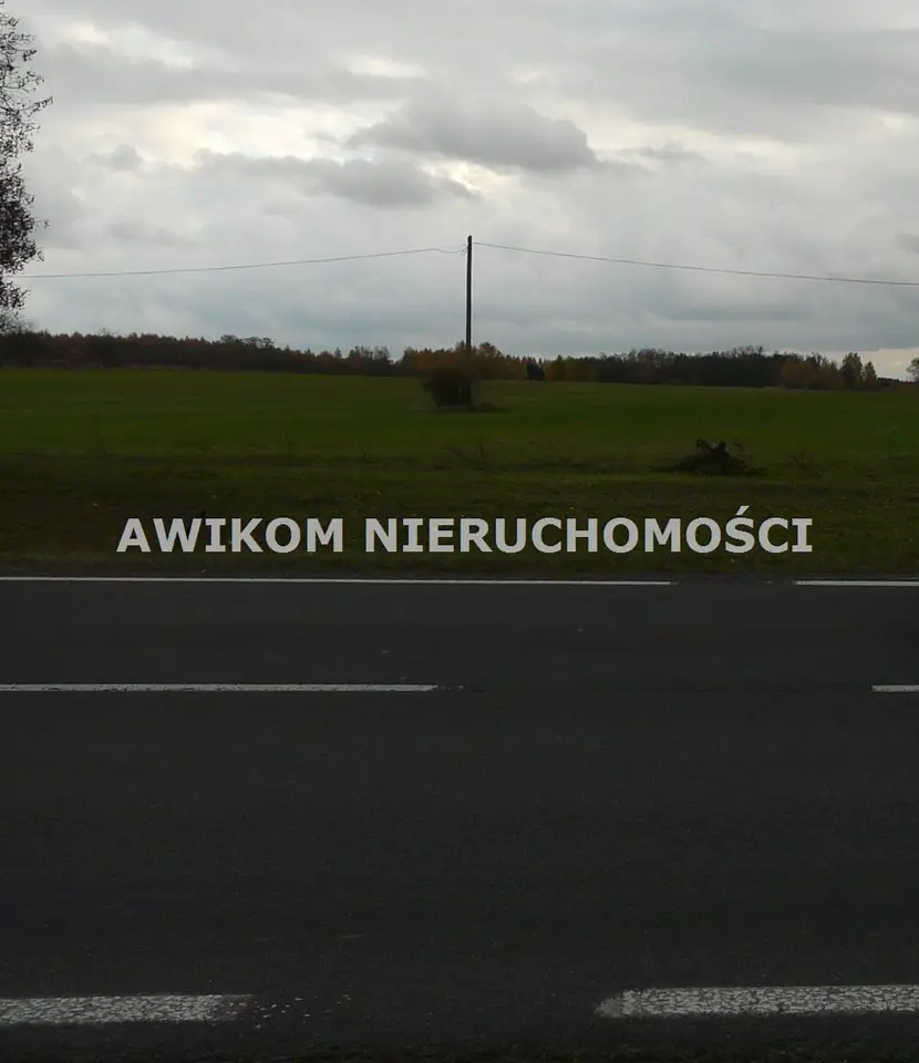 Zdjęcie 4
