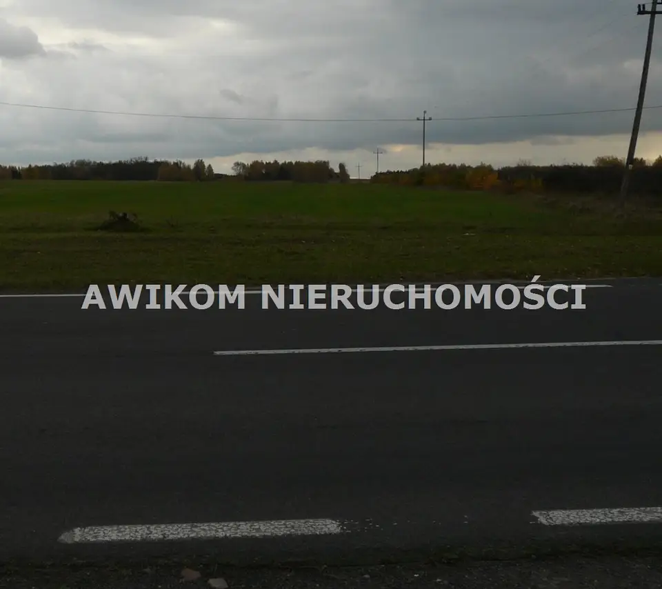 Zdjęcie 5