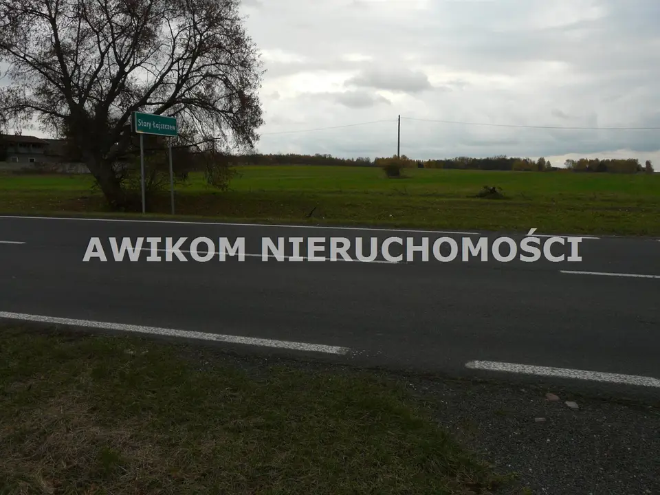 Zdjęcie 7