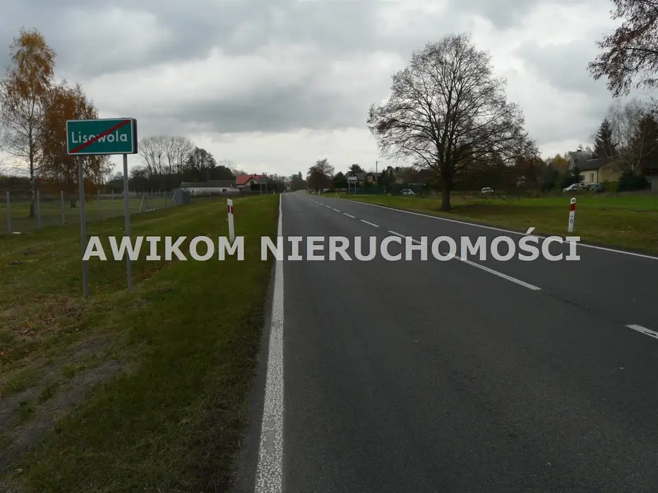 Zdjęcie 10
