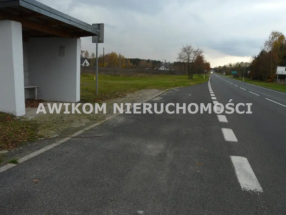 Zdjęcie 11