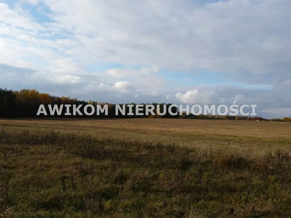 Działka inwestycyjna i rolna 16,26 ha, Wycześniak